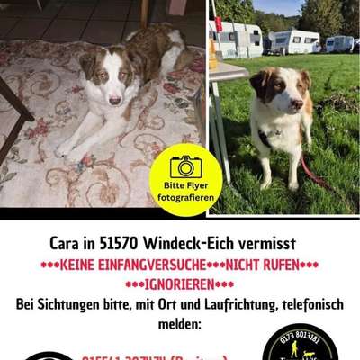 Suchmeldung-Cara-Bild