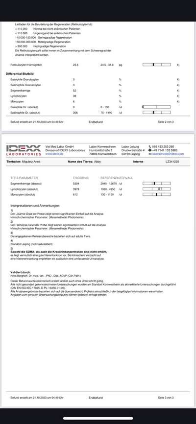 Blutbild-Beitrag-Bild