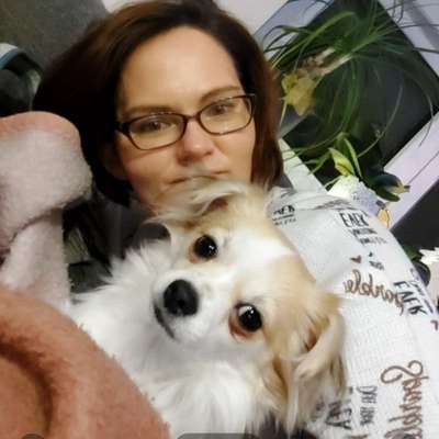 Hundetreffen-Hunde freunde