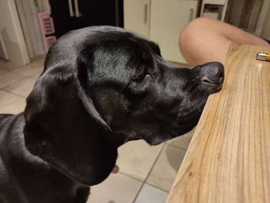 Blick fürs Detail!-Beitrag-Bild