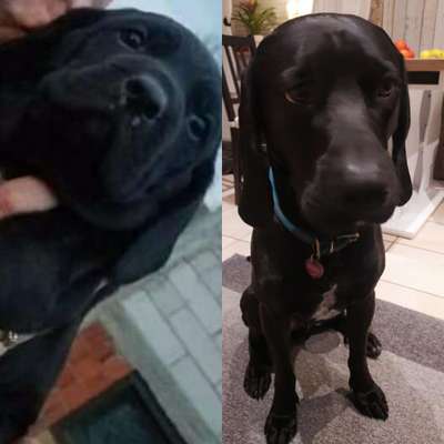 Vorher.... Nachher-Beitrag-Bild