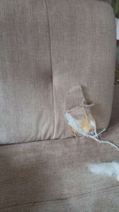 Geschreddert!-Beitrag-Bild