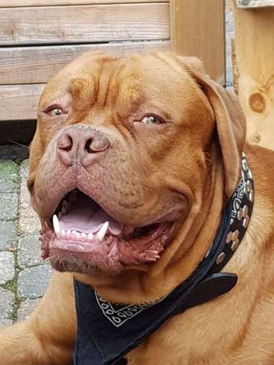 Vorurteile-Beitrag-Bild