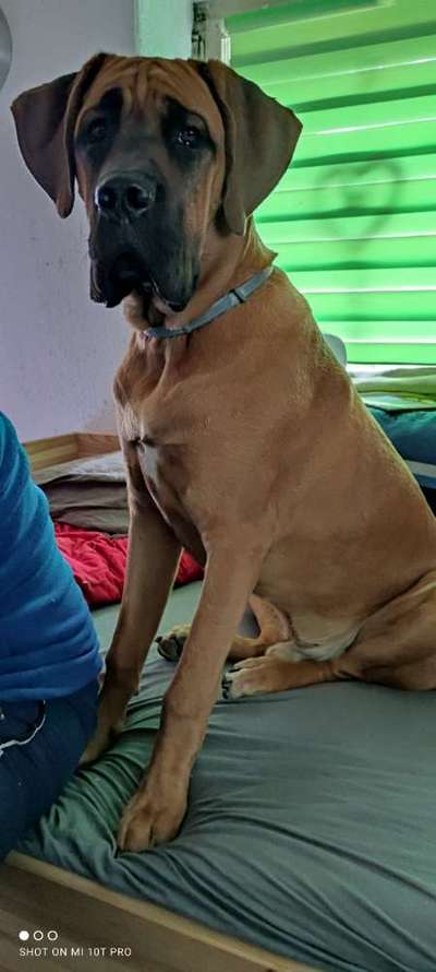 Hier ist der Spaßthread. Zum Schmunzeln und Kaputtlachen-Beitrag-Bild