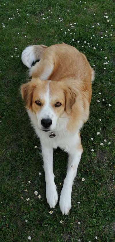 Fotochallange Nr. 57     PORTRÄT.   Beendet!!!!!!!!-Beitrag-Bild