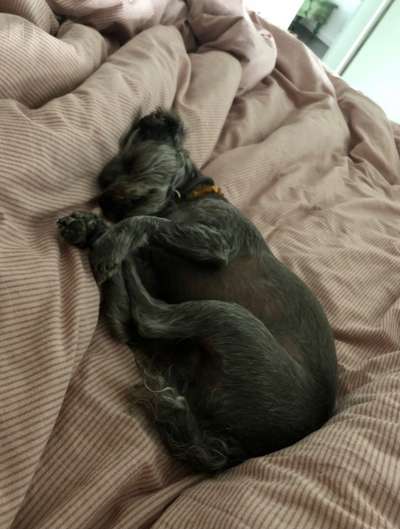 Was wird bei Euch ge..teilt ?-Beitrag-Bild