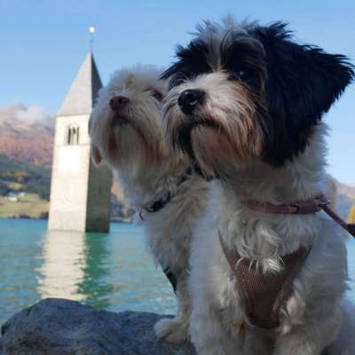 Johanna's Profilbild