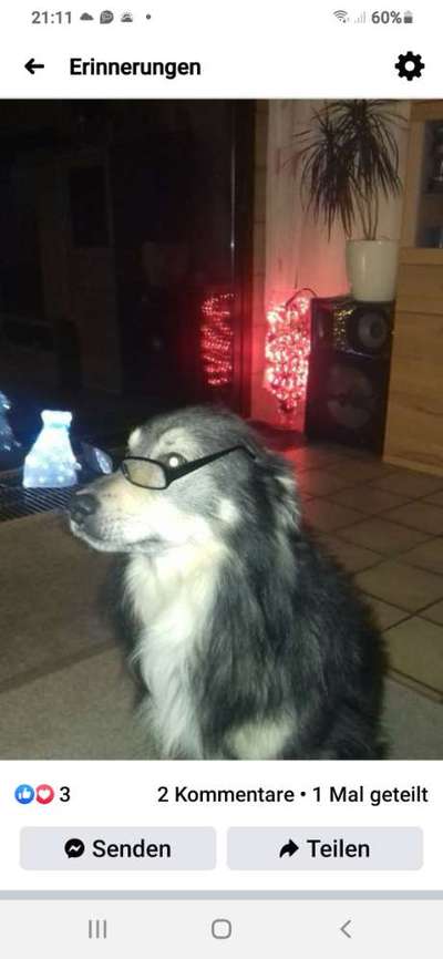 Fotochallenge Nr. 29 - Accessoires-Beitrag-Bild