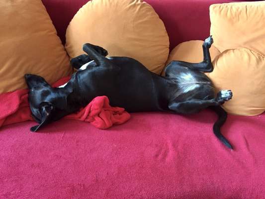 Die unbequemsten und lustigsten Schlafpositionen-Beitrag-Bild