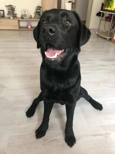 Immer lächeln !-Beitrag-Bild