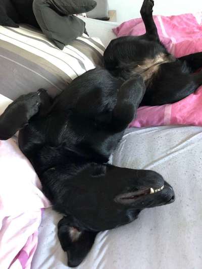 Die unbequemsten und lustigsten Schlafpositionen-Beitrag-Bild