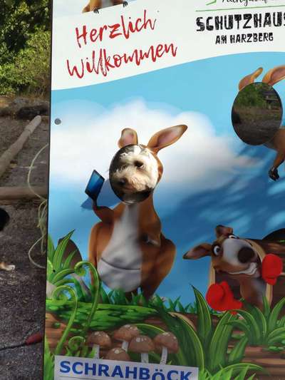 82. Foto Challenge: Skulptur/ Denkmal-Beitrag-Bild