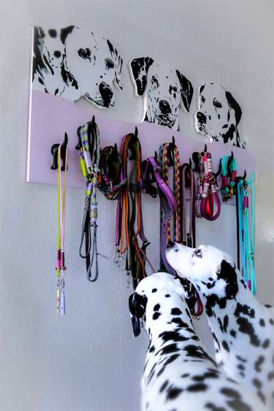 Eure Hundegarderobe/Hundewand/Hundebereich-Beitrag-Bild