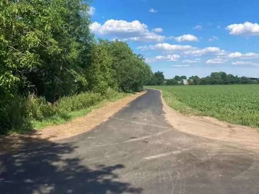 Hundeauslaufgebiet-Feldweg am Flugplatz-Bild