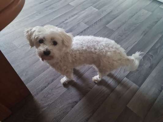 Frei laufen-Beitrag-Bild