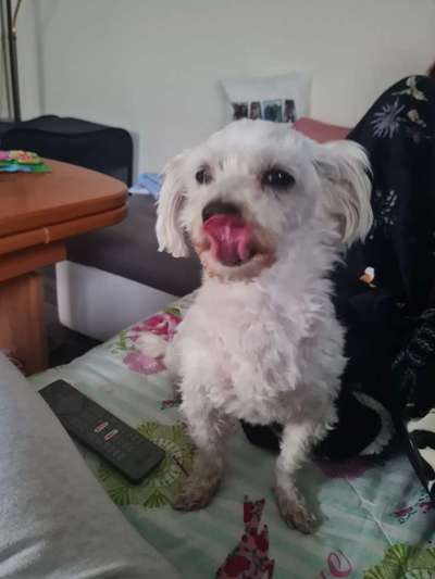 147. Foto Challenge: Bettelblick-Beitrag-Bild