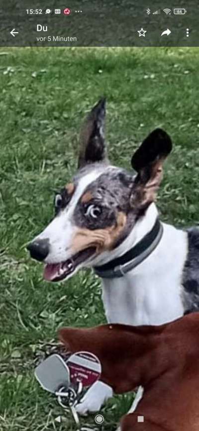 Lustige Grimassen & verrückte Posen-Beitrag-Bild