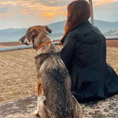 Hundetreffen-Spieltreffen und Spaziergang