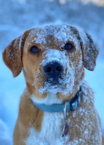 Fotochallange Nr. 57     PORTRÄT.   Beendet!!!!!!!!-Beitrag-Bild