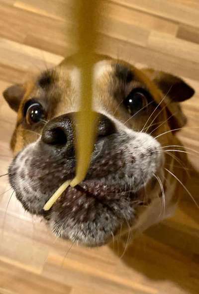 Fotochallange Nr. 57     PORTRÄT.   Beendet!!!!!!!!-Beitrag-Bild