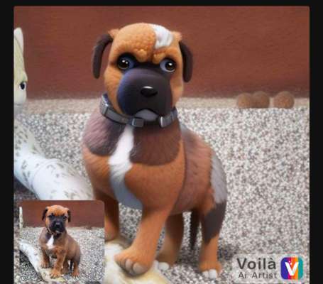 Voila app Bilder-Beitrag-Bild