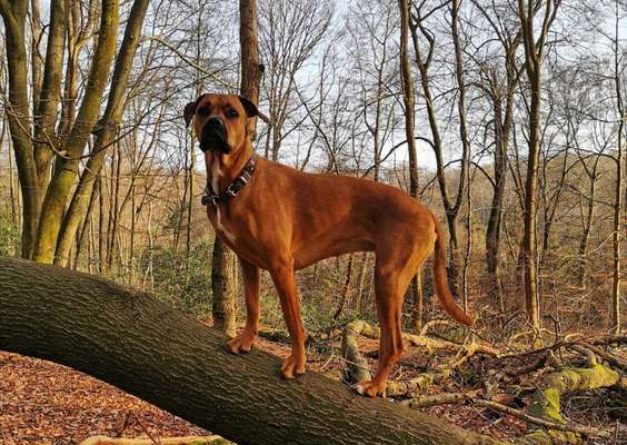 27. Handy Fotochallenge-Beitrag-Bild