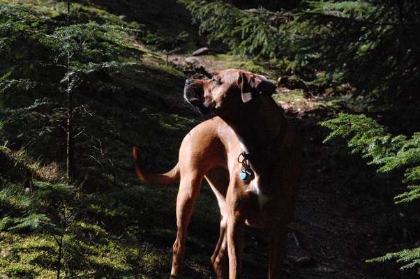 Farben Fotochallenge Sonnenlicht-Beitrag-Bild