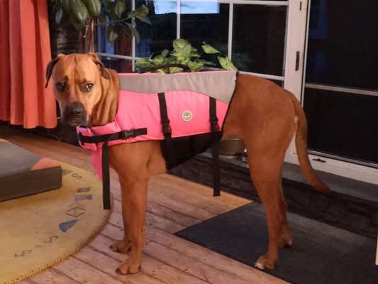 Farben-Fotochallenge: Rosa-Beitrag-Bild