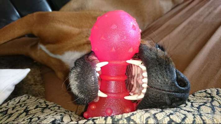 Handy-foto Challange nr. 11-Beitrag-Bild