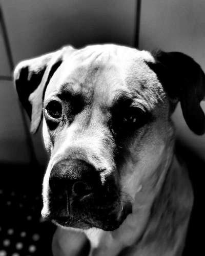 3. Farben/Fotochallenge: Schwarz/Weiß-Beitrag-Bild