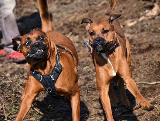 "Die eingefangene Magie des Augenblicks"-Beitrag-Bild