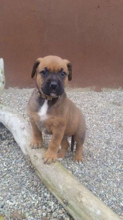 28. Handy-Fotochallenge - Damals und heute-Beitrag-Bild