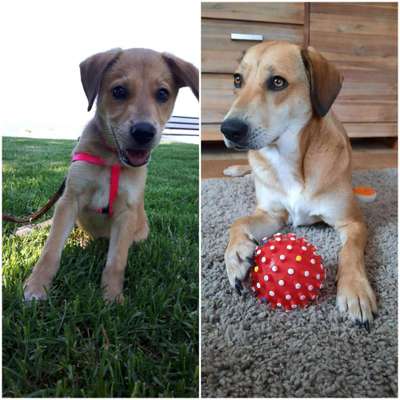 Nicht ganz alltägliche Hundenamen.
Wie kreativ wart ihr?-Beitrag-Bild