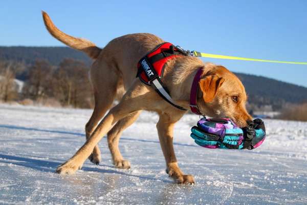 Fotochallenge Nr. 64-Beitrag-Bild