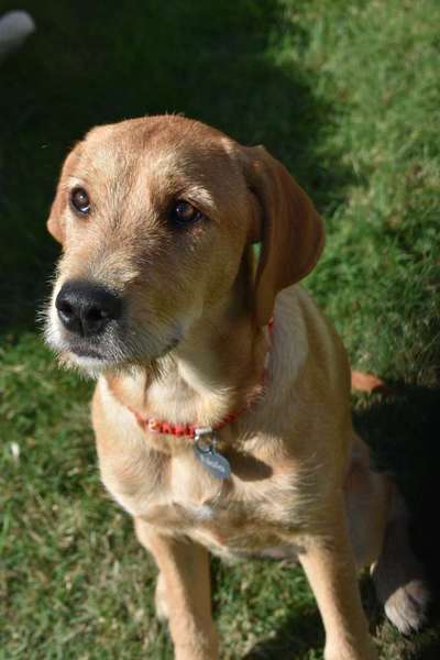 Blick fürs Detail!-Beitrag-Bild