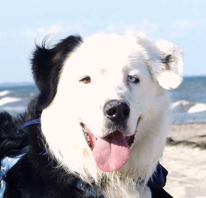 Fotochallange Nr. 57     PORTRÄT.   Beendet!!!!!!!!-Beitrag-Bild