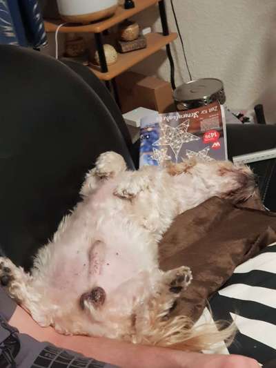 Die unbequemsten und lustigsten Schlafpositionen-Beitrag-Bild