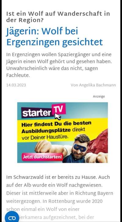 Giftköder-Ergenzingen Wolf gesichtet-Bild