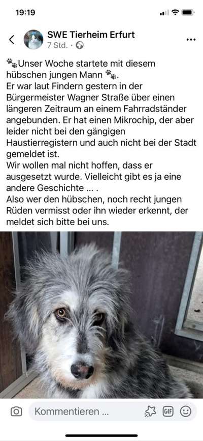 Was hat euch heute genervt?-Beitrag-Bild