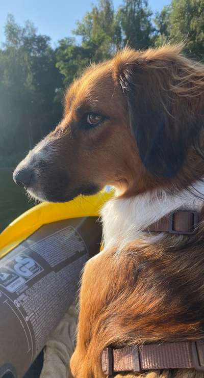 Fotochallenge 101:
On Tour-Beitrag-Bild