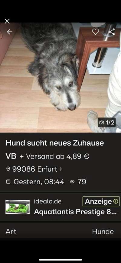 Was hat euch heute genervt?-Beitrag-Bild