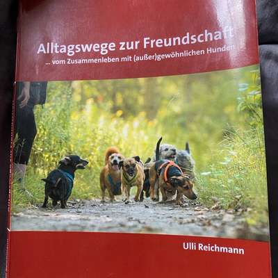 "Wege zur Freundschaft" (Ulli Reichmann)-Beitrag-Bild