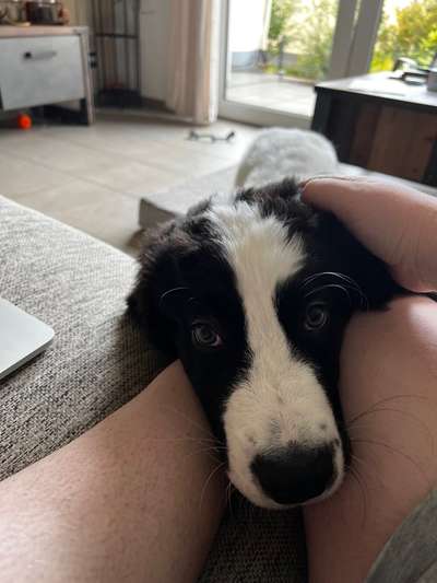 147. Foto Challenge: Bettelblick-Beitrag-Bild