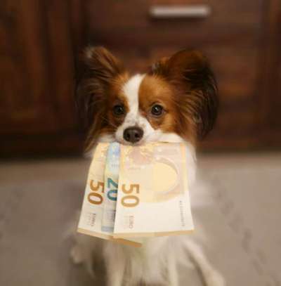 Trick: Festhalten-Beitrag-Bild