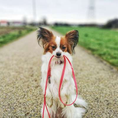 Lucy's Profilbild