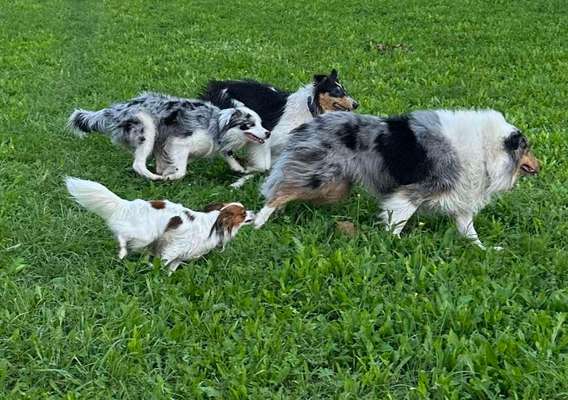 Warum muss es denn unbedingt der sein?-Beitrag-Bild