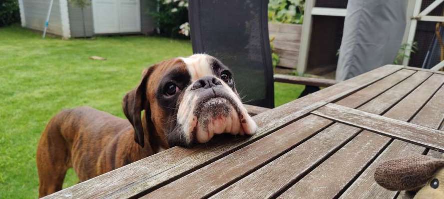 147. Foto Challenge: Bettelblick-Beitrag-Bild