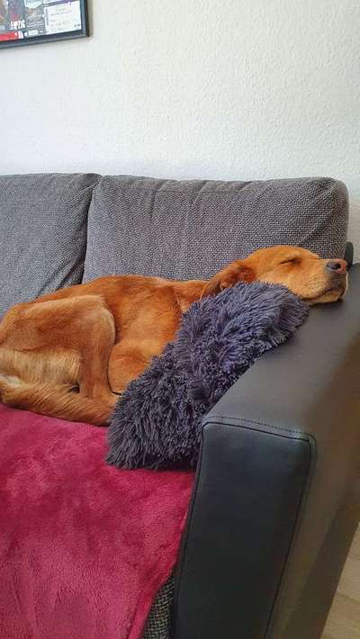 Die unbequemsten und lustigsten Schlafpositionen-Beitrag-Bild