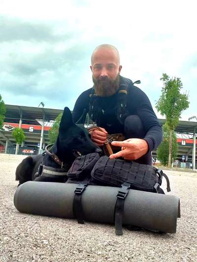 Die Dogorama Wochen Challenge "Friends will be Friends"-Beitrag-Bild