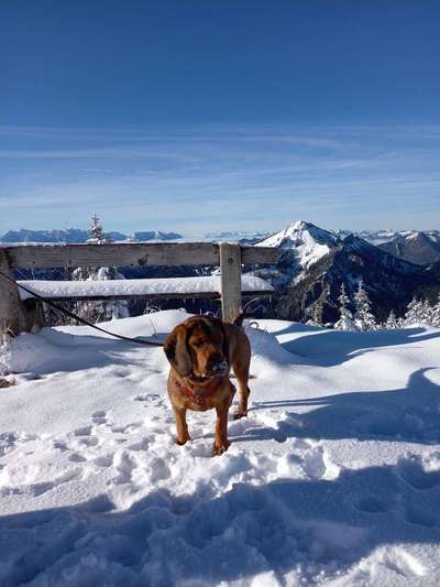 Fotochallenge Nr 107-Beitrag-Bild